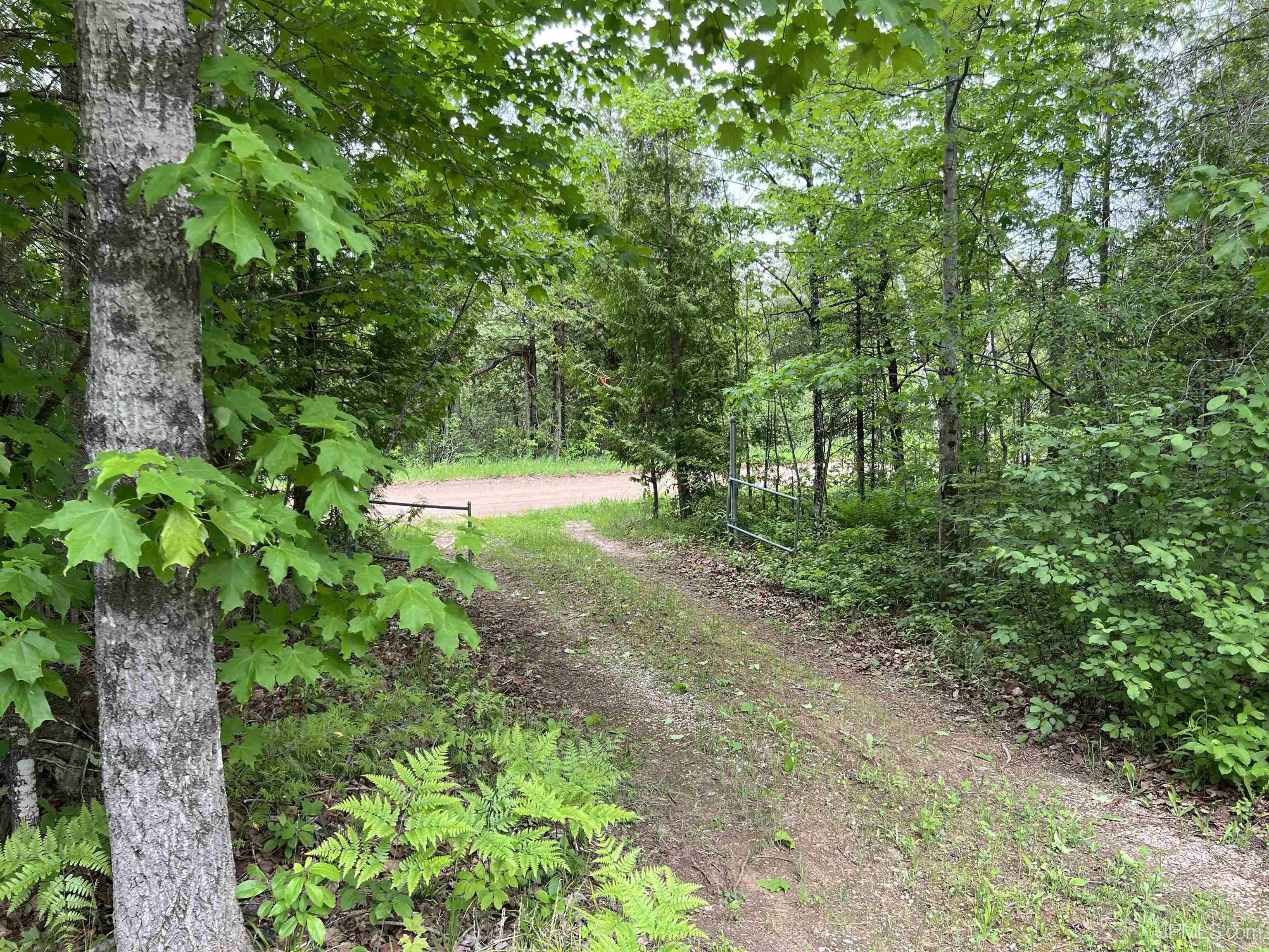 Tbd County Road Rm Road Rock, MI 49880 - Photo 19 of 33