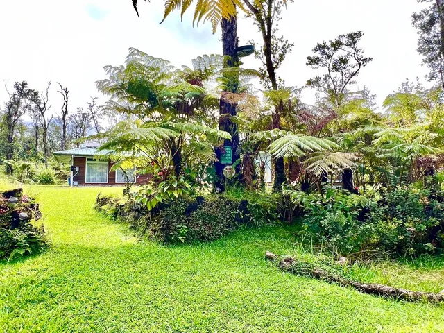 a view of a garden with an outdoor space