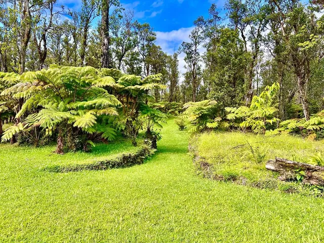 a view of yard with green space