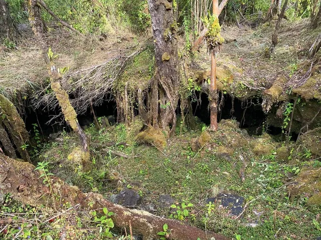 $639,000 | 11-2920 Apele Road, Mountain View, HI 96771