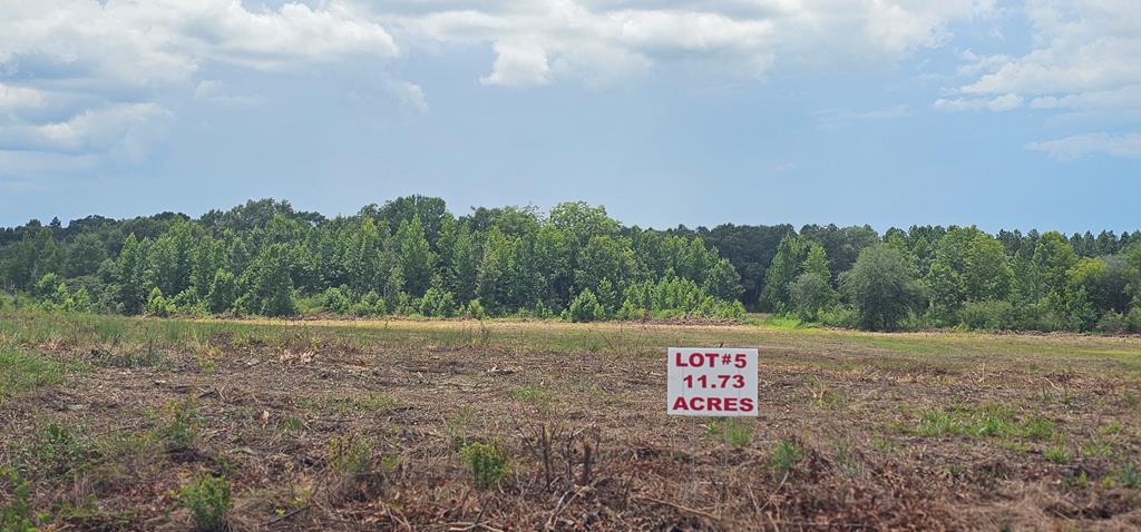L5 New Hinson Road Slocomb, AL 36375 - Photo 9 of 23