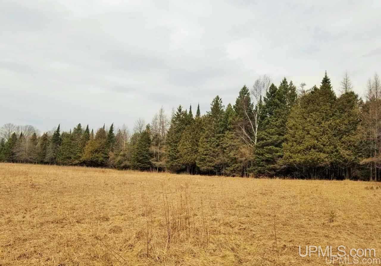 Tbd Stelzer Road Gulliver, MI 49840 - Photo 5 of 26
