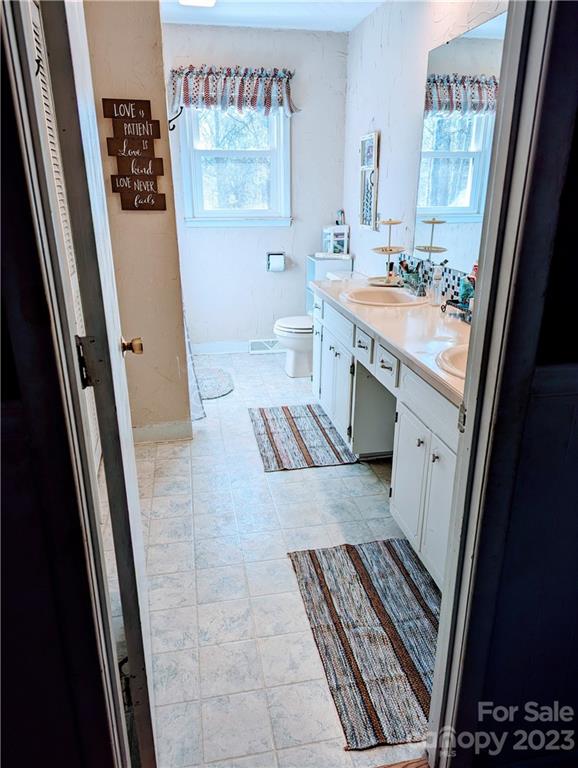 1180 Guy Road Hickory, NC 28602 - Photo 20 of 30 a bathroom with a sink a mirror and a toilet