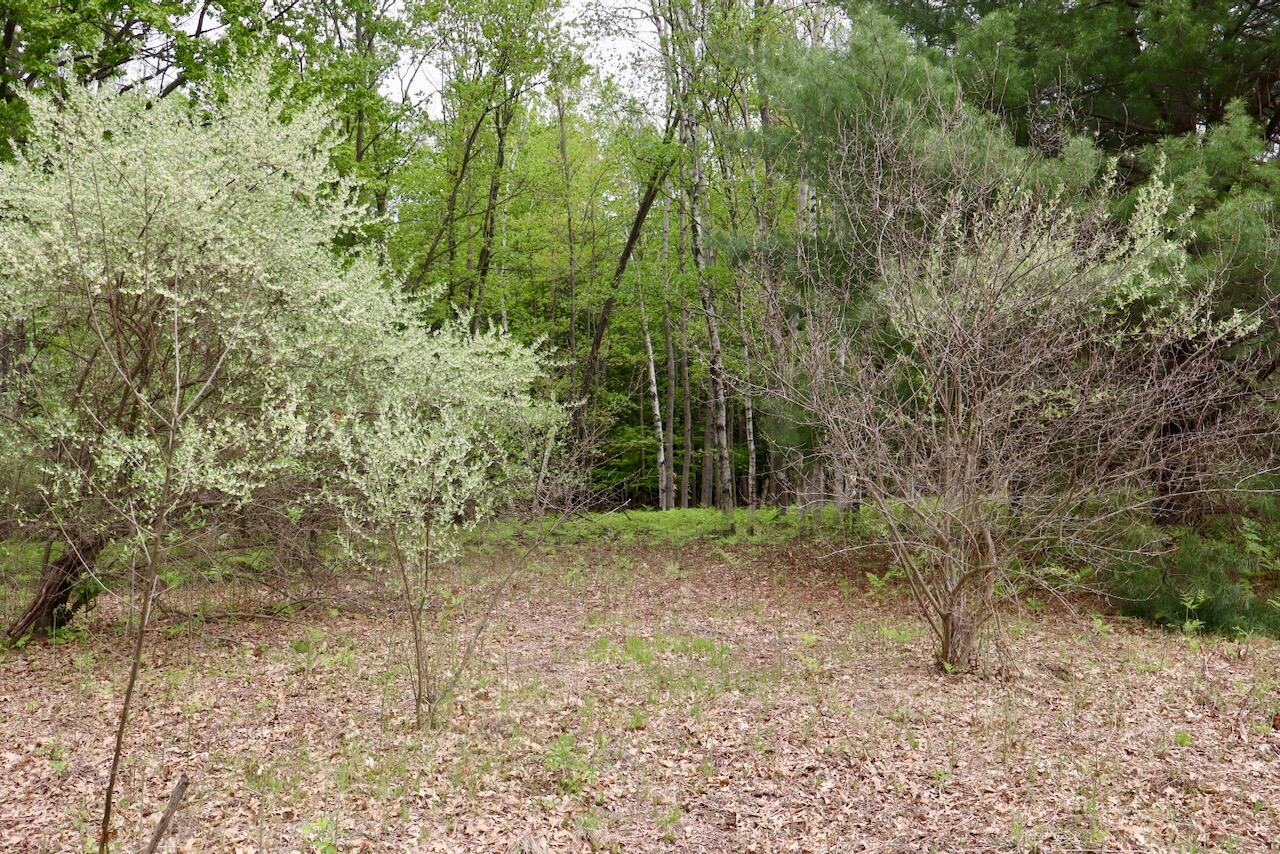 6153 South Branch Road Branch, MI 49402 - Photo 50 of 70 43
