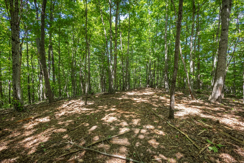 20-ac Pack Mountain Road Murphy, NC 28906 - Photo 11 of 20
