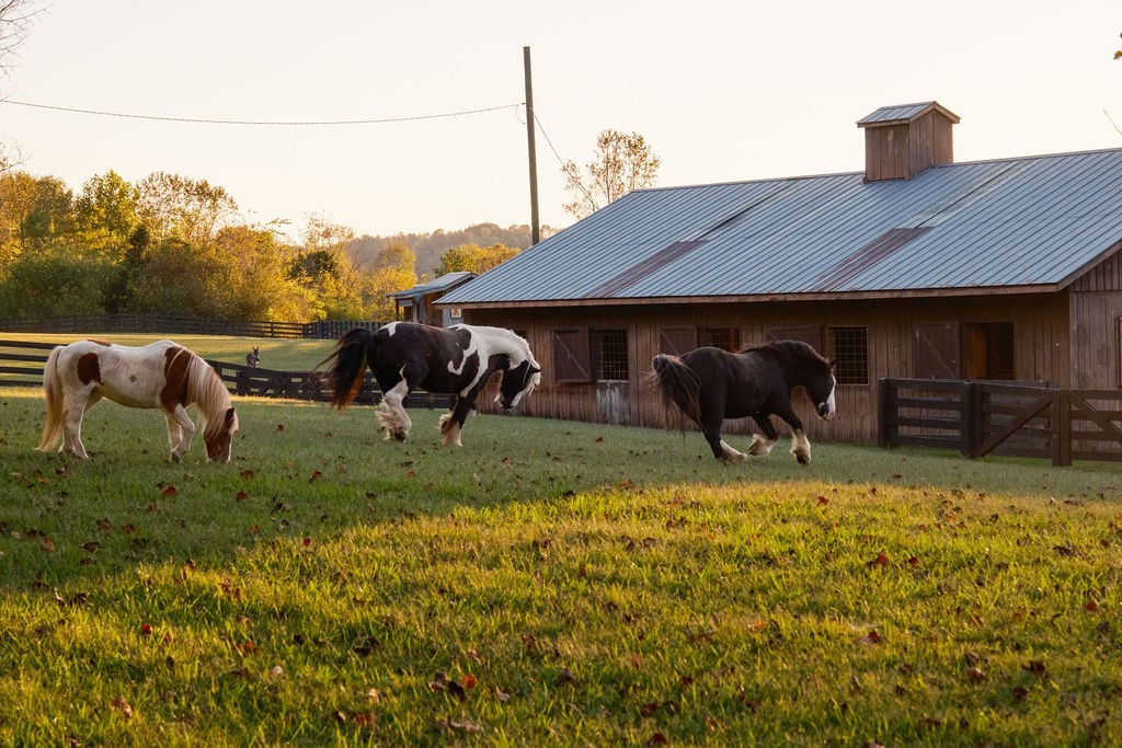 5297 Old Harding Road Franklin, TN 37064 - Photo 80 of 100 Gallery Image 80