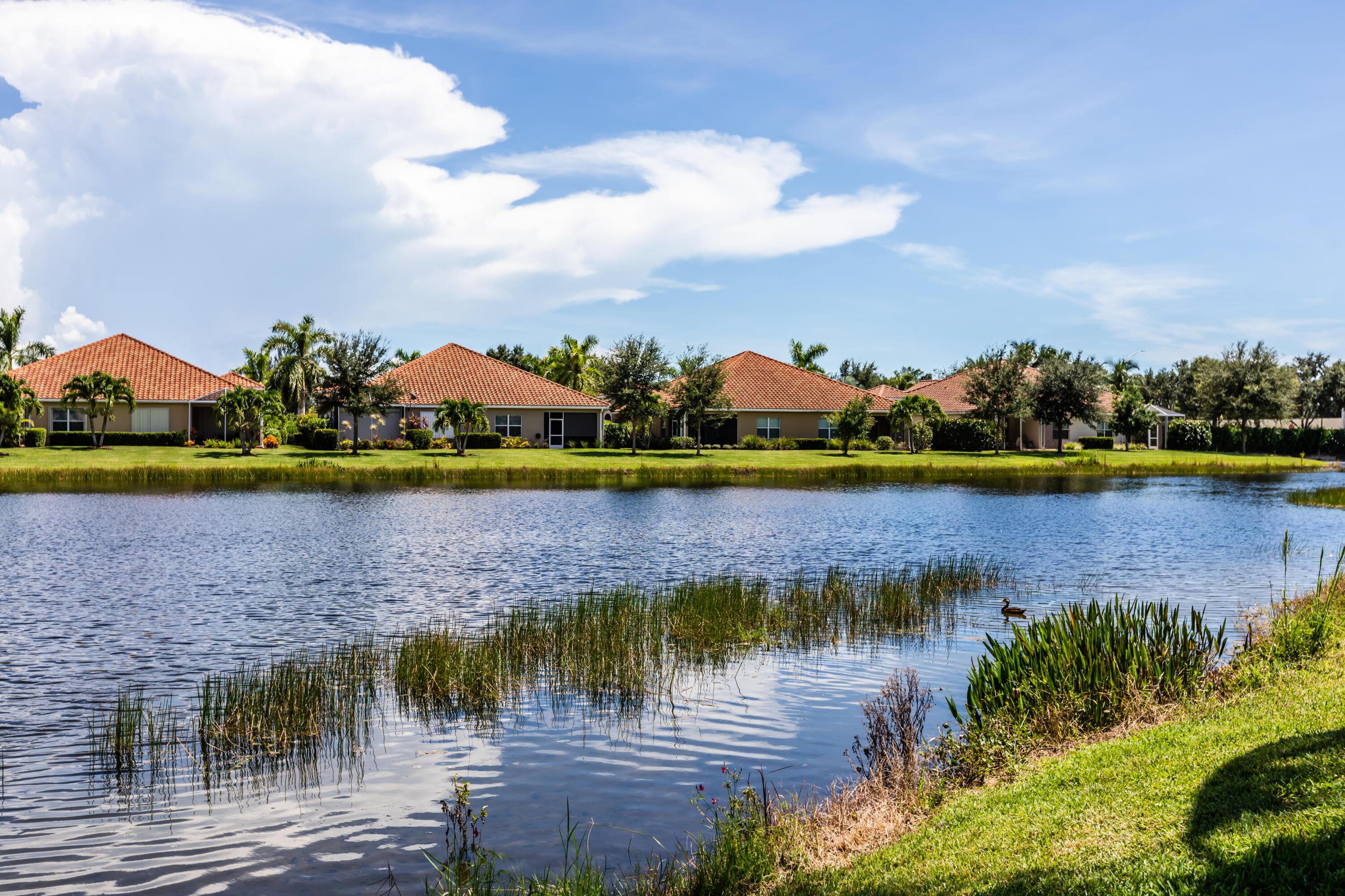 14728 Cranberry Naples Naples, FL 34114 - Photo 3 of 26 a view of a lake with houses in the back