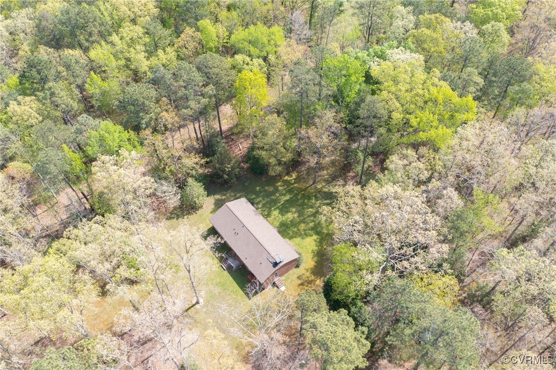 12610 2nd Branch Road Chesterfield, VA 23838 - Photo 38 of 43