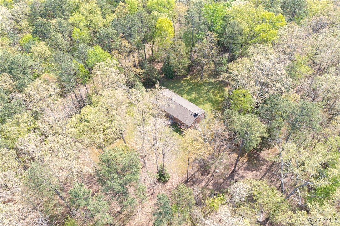 12610 2nd Branch Road Chesterfield, VA 23838 - Photo 39 of 43