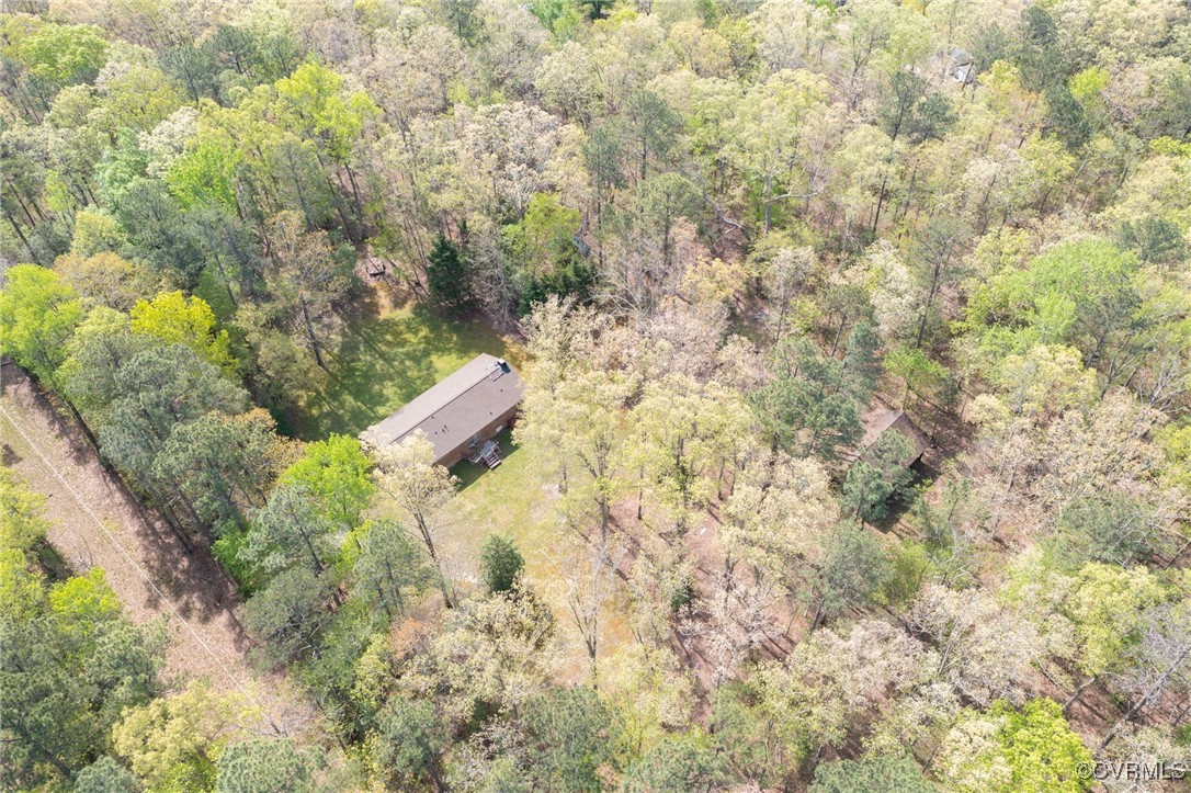 12610 2nd Branch Road Chesterfield, VA 23838 - Photo 40 of 43