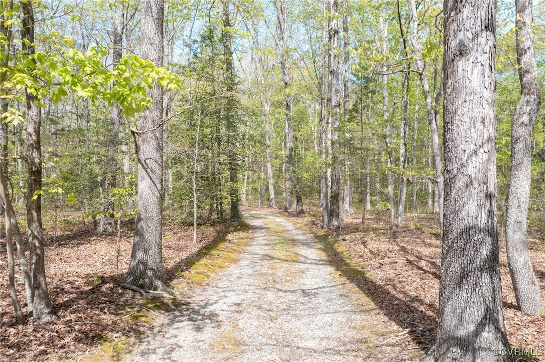 12610 2nd Branch Road Chesterfield, VA 23838 - Photo 42 of 43