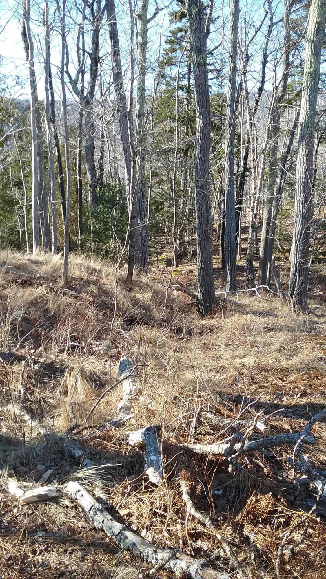 0 Otter Cliff Road Bar Harbor, ME 04609 - Photo 2 of 8 Photo 1