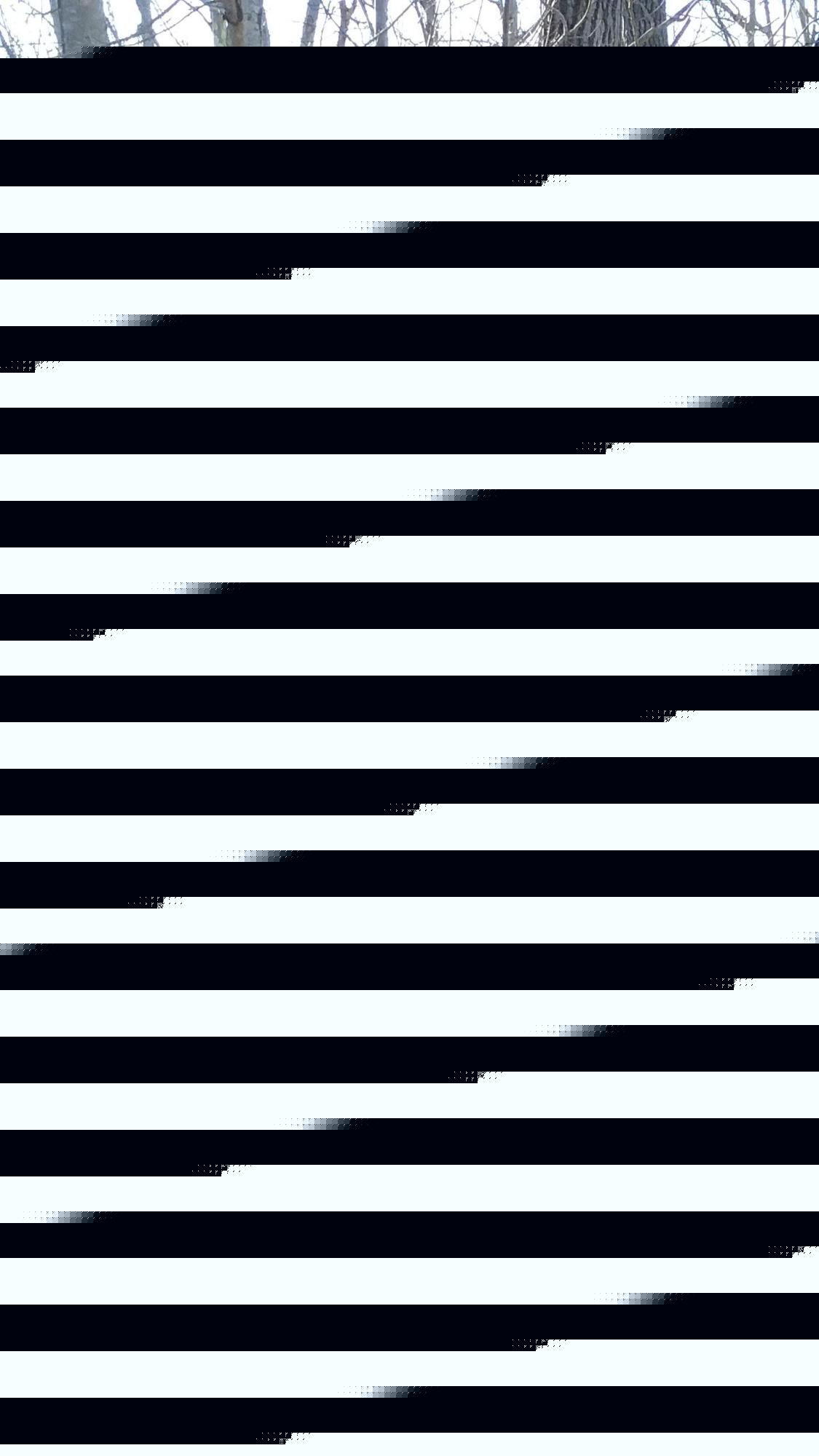 0 Otter Cliff Road Bar Harbor, ME 04609 - Photo 5 of 8 Photo 4