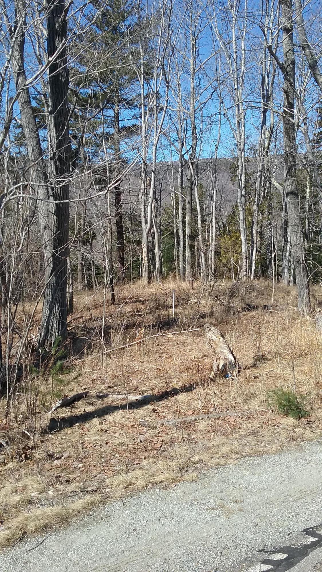 0 Otter Cliff Road Bar Harbor, ME 04609 - Photo 6 of 8 9CA3AE60-BF10-4132-9507-200165C2C14A