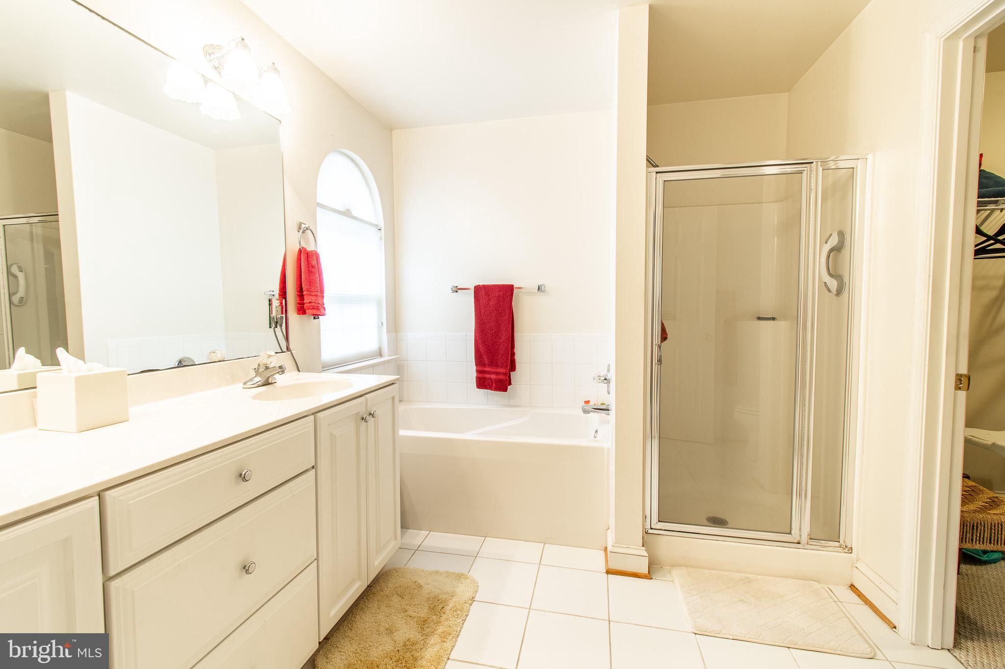 228 Tyler Avenue St. Michaels, MD 21663 - Photo 17 of 44 a bathroom with a tub sink and mirror