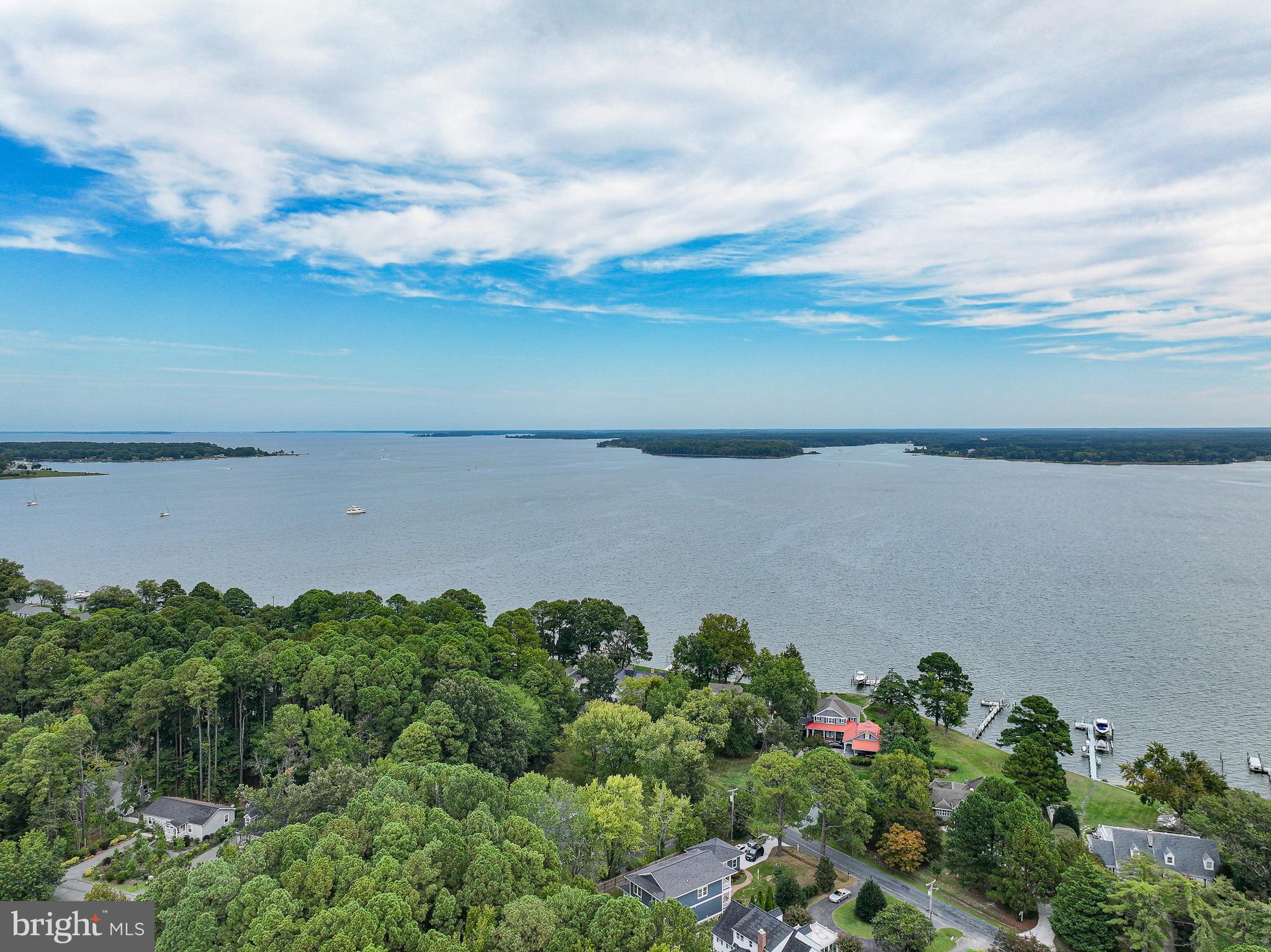 228 Tyler Avenue St. Michaels, MD 21663 - Photo 39 of 44 a view of a lake