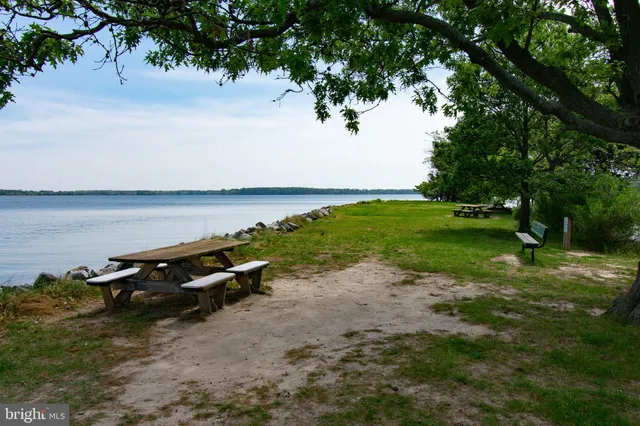 a and pier with wooden floor