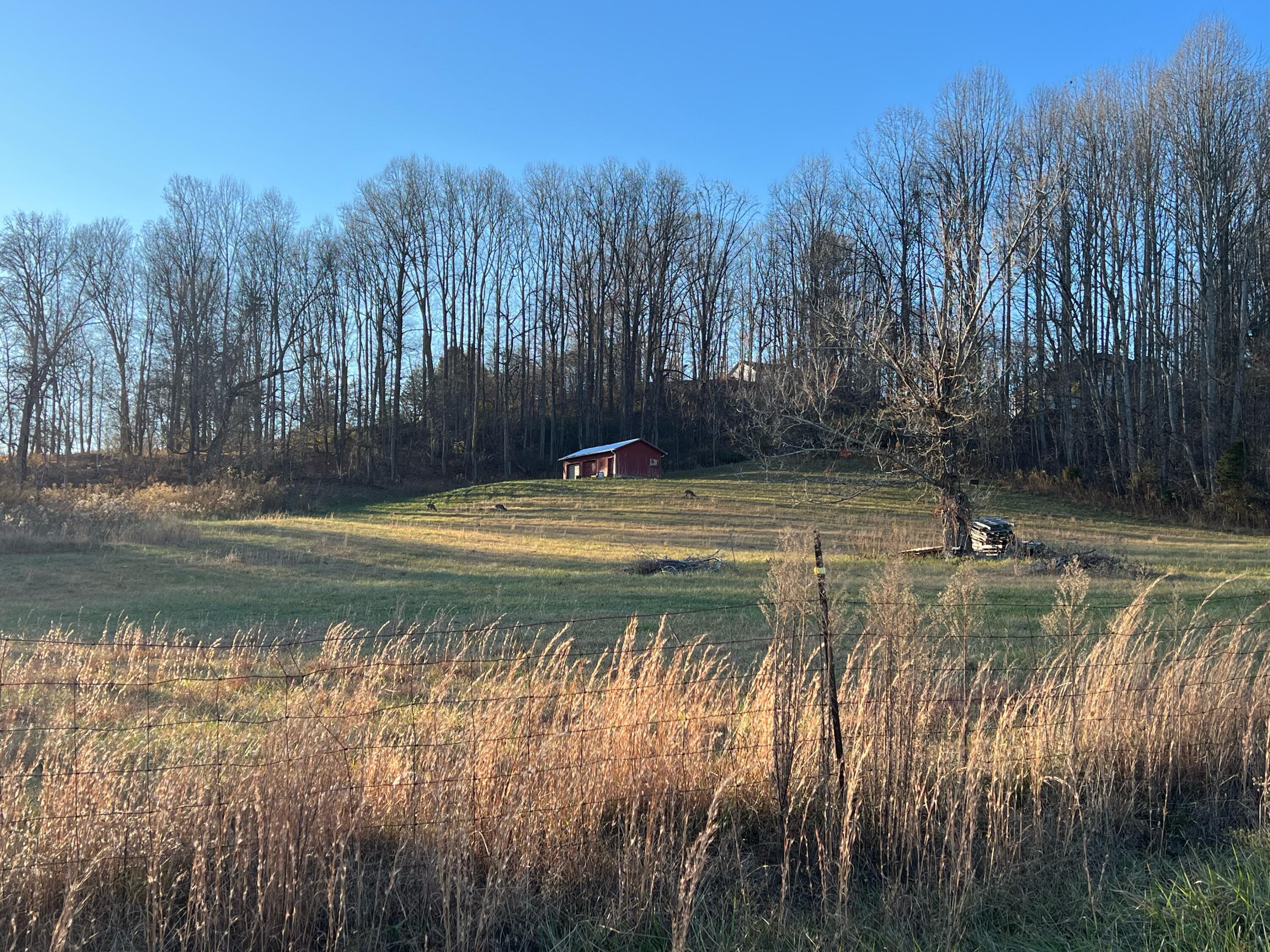 Tbd Clayman Valley Road, Unit 7 Bristol, VA 24202 - Photo 1 of 5 image1 (3)