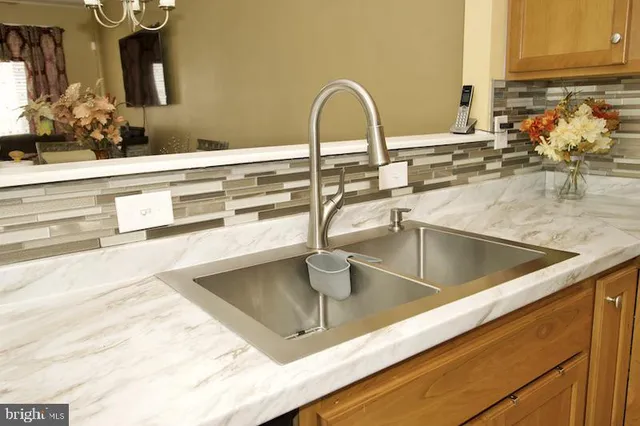 a kitchen with a sink and a potted plant