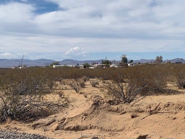 154 North Alpine Road Golden Valley, AZ 86413 - Photo 3 of 8 Gallery Image 3