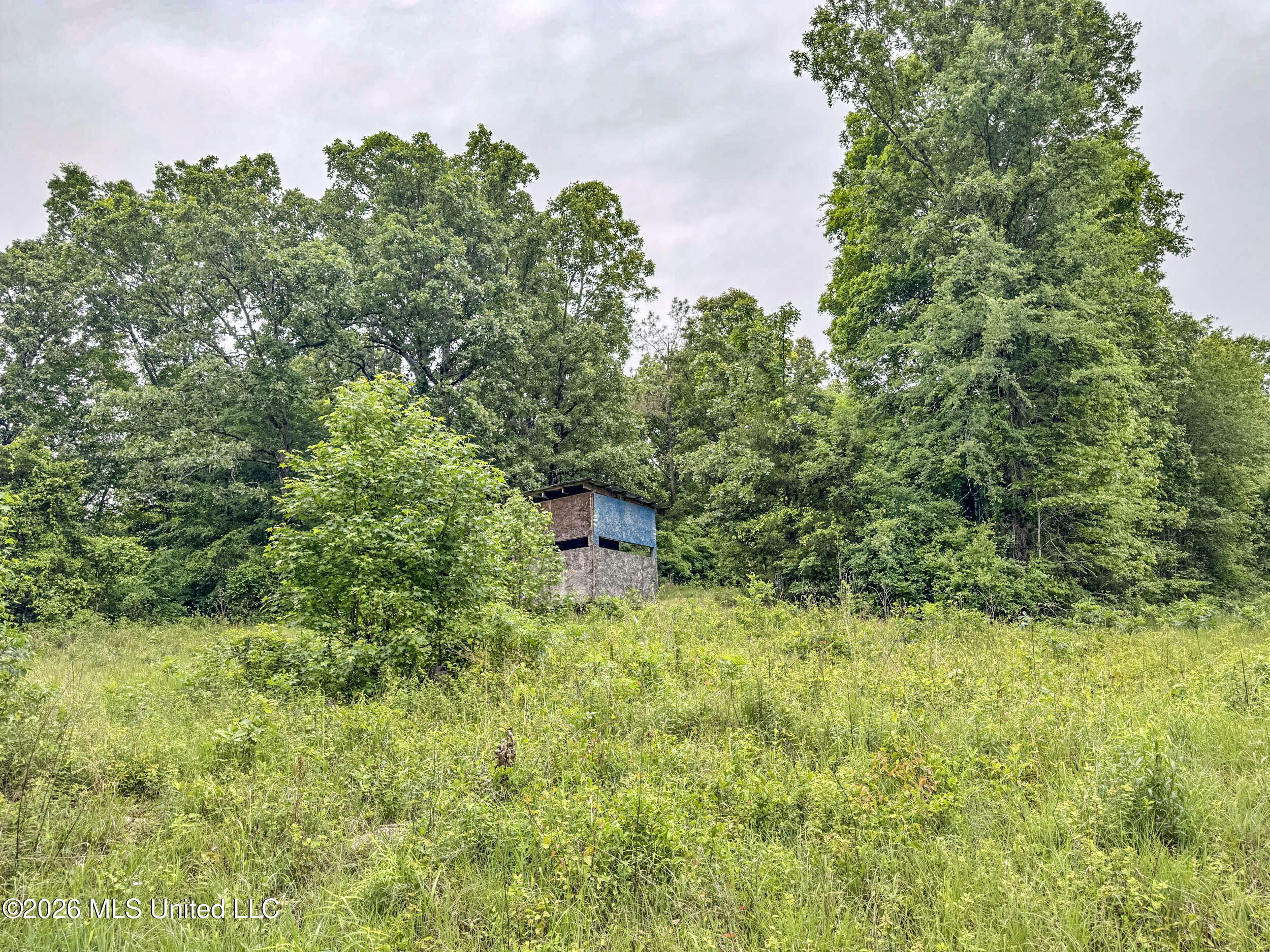 Wayne Massie Road Como, MS 38619 - Photo 108 of 184 5cdtbs41