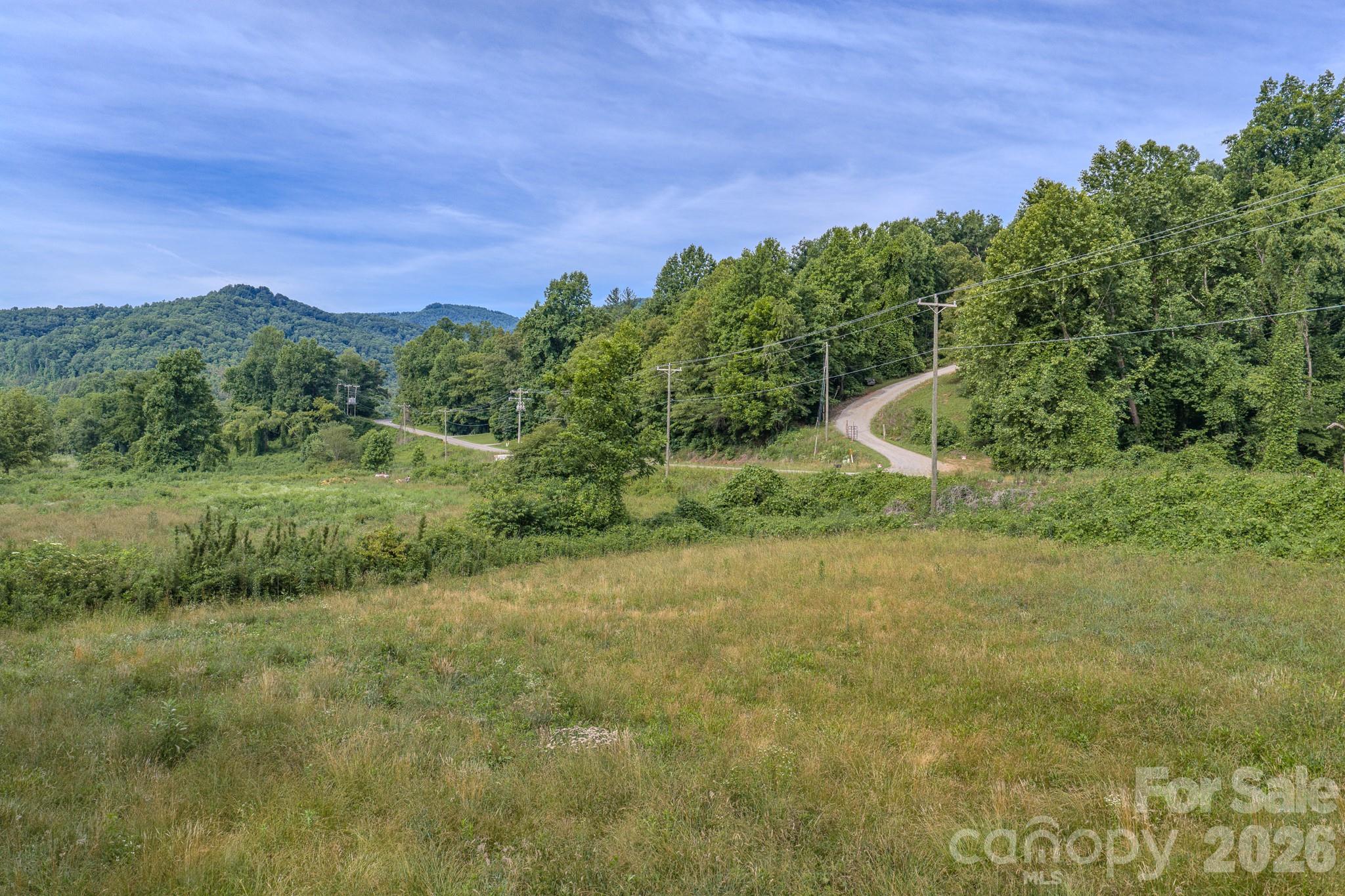 4733 Bat Cave Road Old Fort, NC 28762 - Photo 33 of 36
