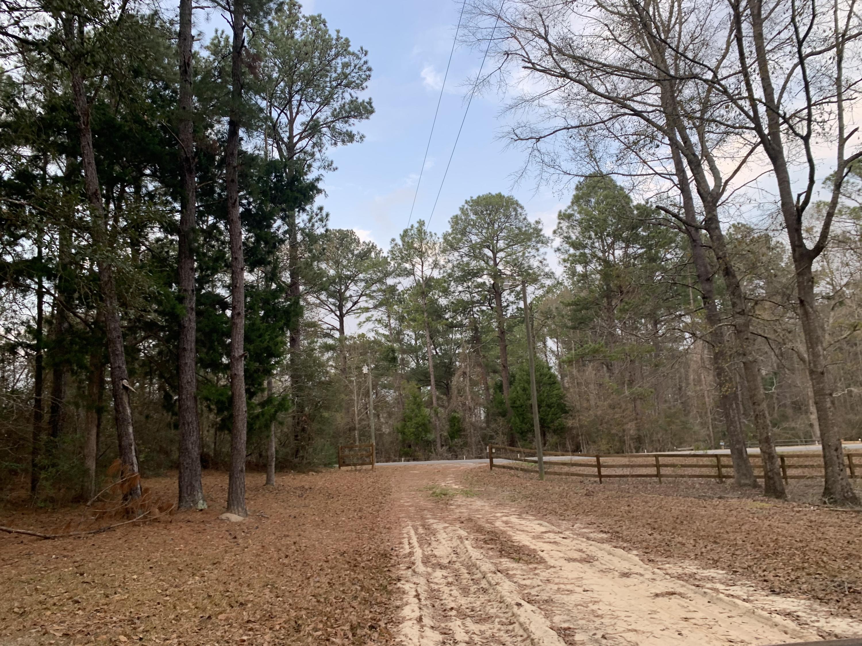 7598 Glen Chambers Road Florala, AL 36442 - Photo 5 of 25 a view of a yard with trees