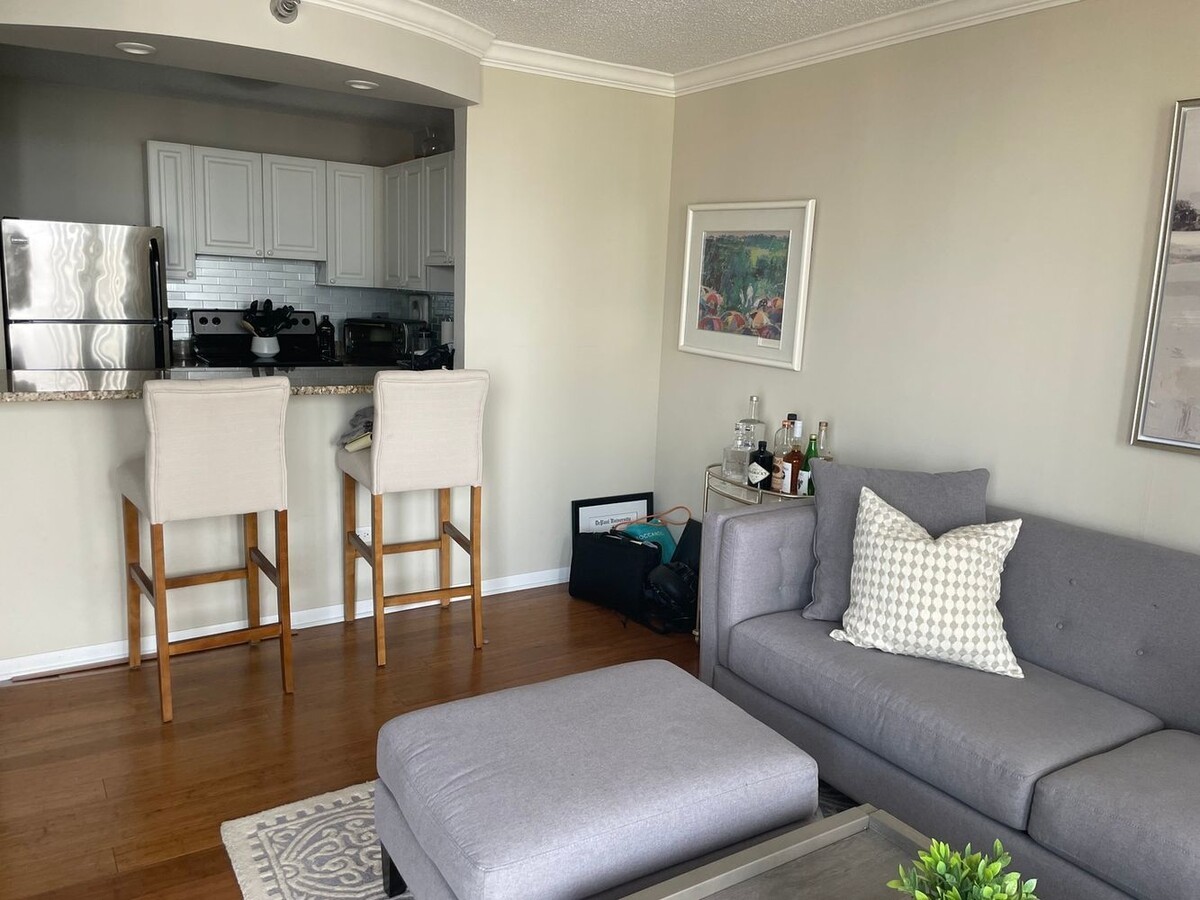 111 West Maple Street, Unit 1810 Chicago, IL 60610 - Photo 5 of 13