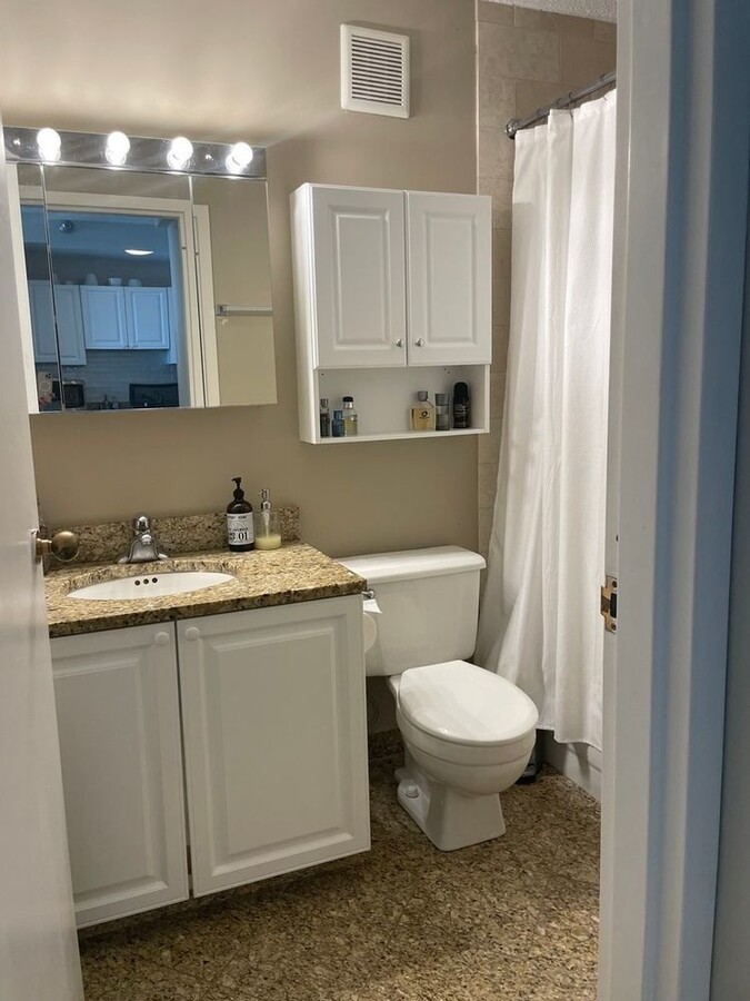 111 West Maple Street, Unit 1810 Chicago, IL 60610 - Photo 9 of 13
