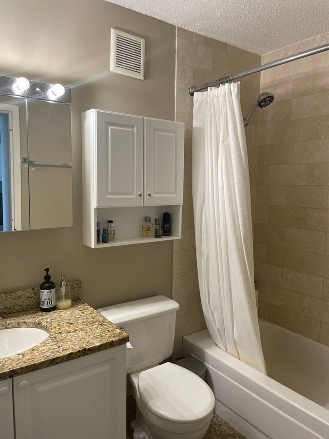 111 West Maple Street, Unit 1810 Chicago, IL 60610 - Photo 10 of 13