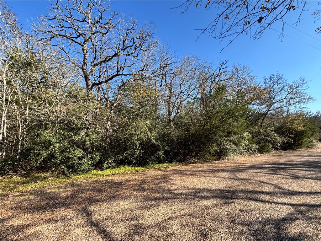 Lot 11 Oak Ridge Drive Somerville, TX 77879 - Photo 2 of 6 a view of backyard space