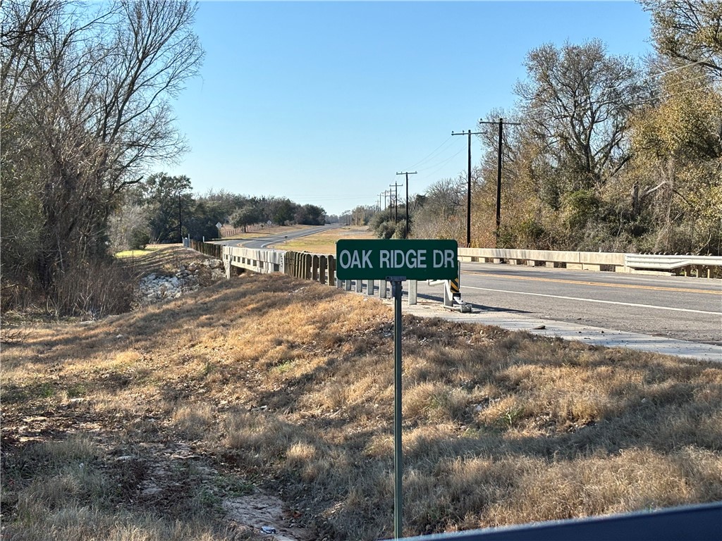 Lot 11 Oak Ridge Drive Somerville, TX 77879 - Photo 3 of 6