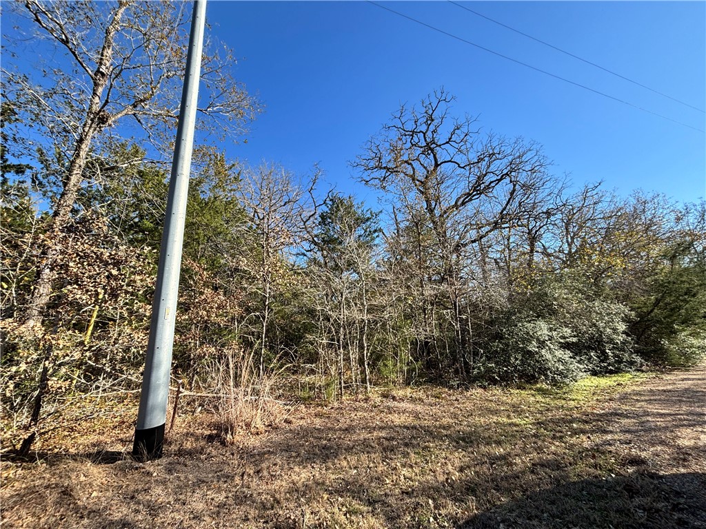 Lot 11 Oak Ridge Drive Somerville, TX 77879 - Photo 4 of 6 a backyard of a house with lots of green space