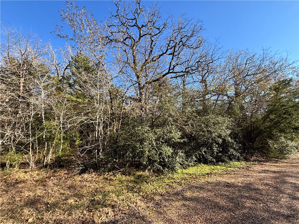 Lot 11 Oak Ridge Drive Somerville, TX 77879 - Photo 5 of 6 a view of a yard with a tree