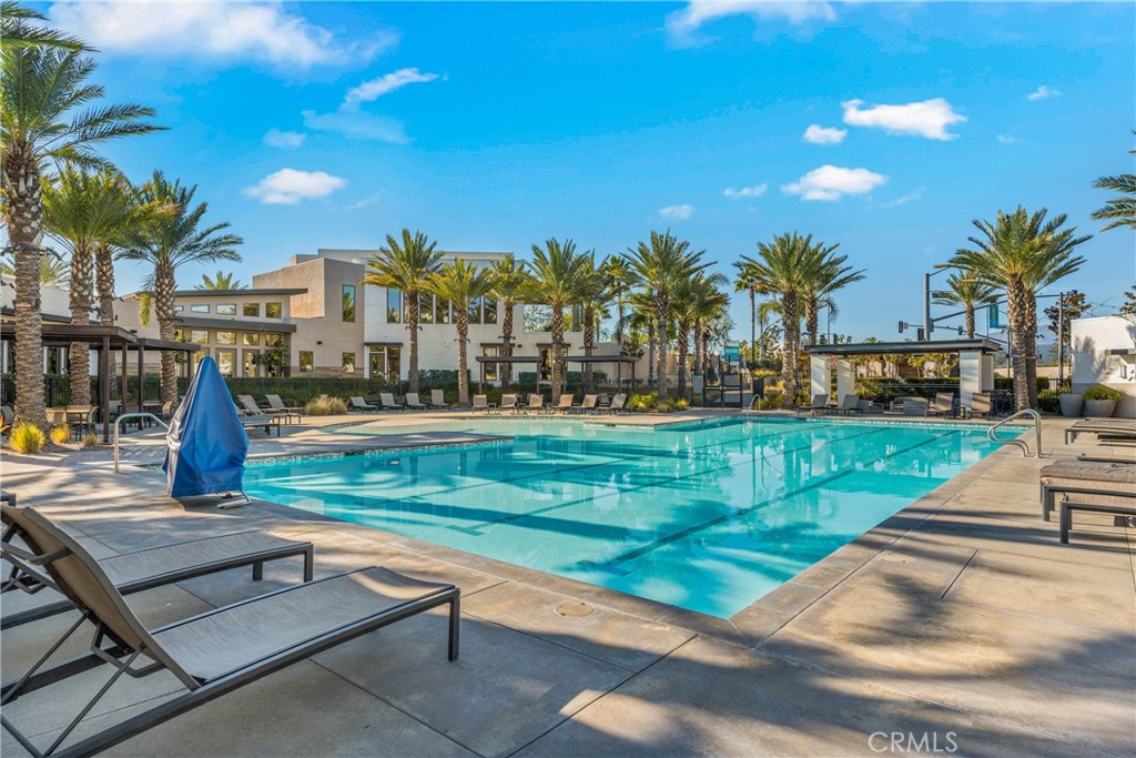 11082 Panoramic Drive Rancho Cucamonga, CA 91730 - Photo 38 of 48 a park view with a bench plants and palm trees