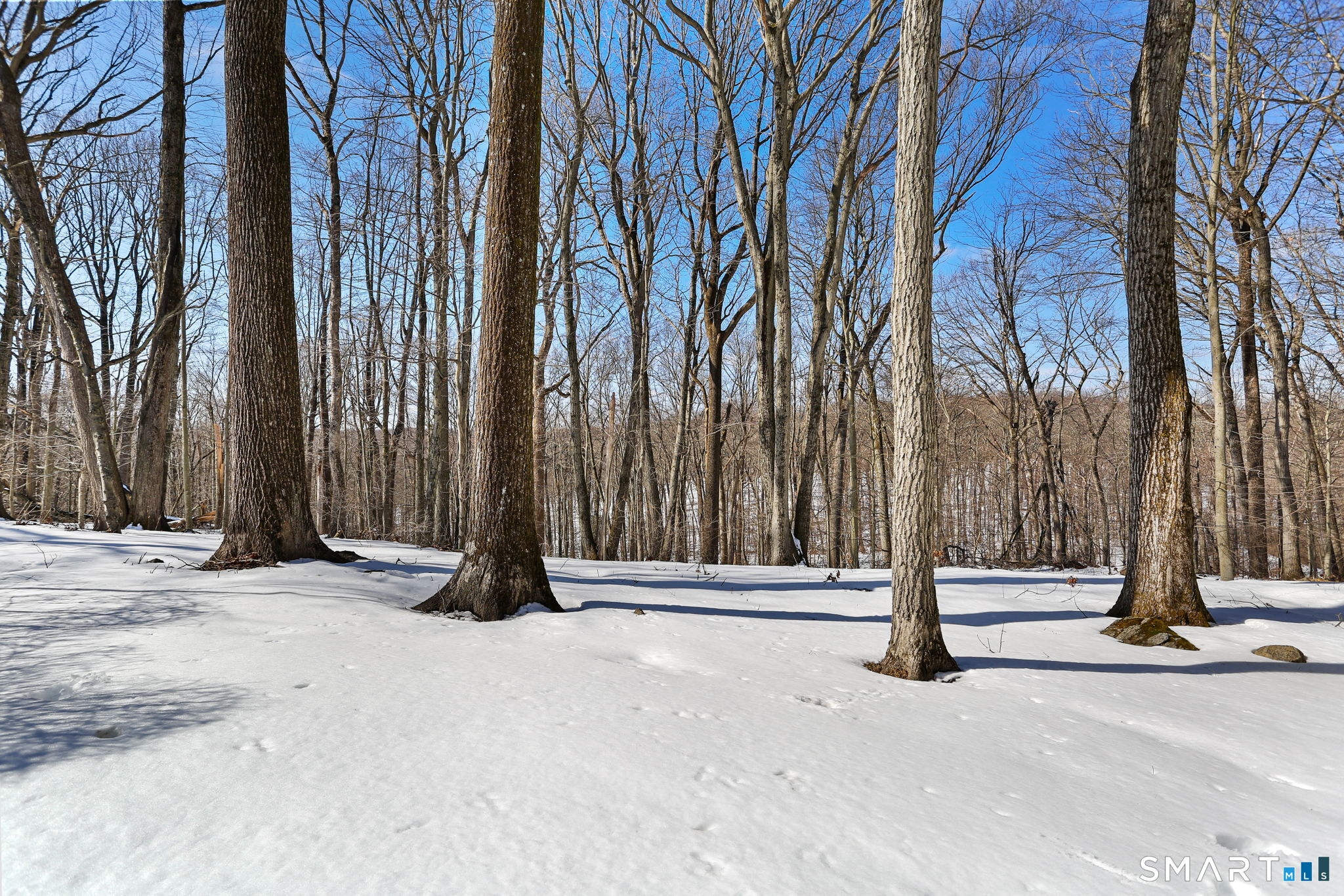 97 Greenbrier Road Trumbull, CT 06611 - Photo 43 of 45