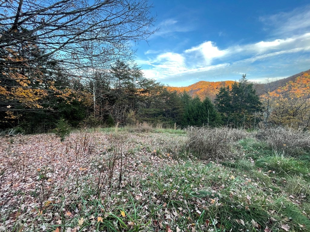 3263 Ironto Road, Unit 1 Elliston, VA 24087 - Photo 21 of 69 Gallery Image 21