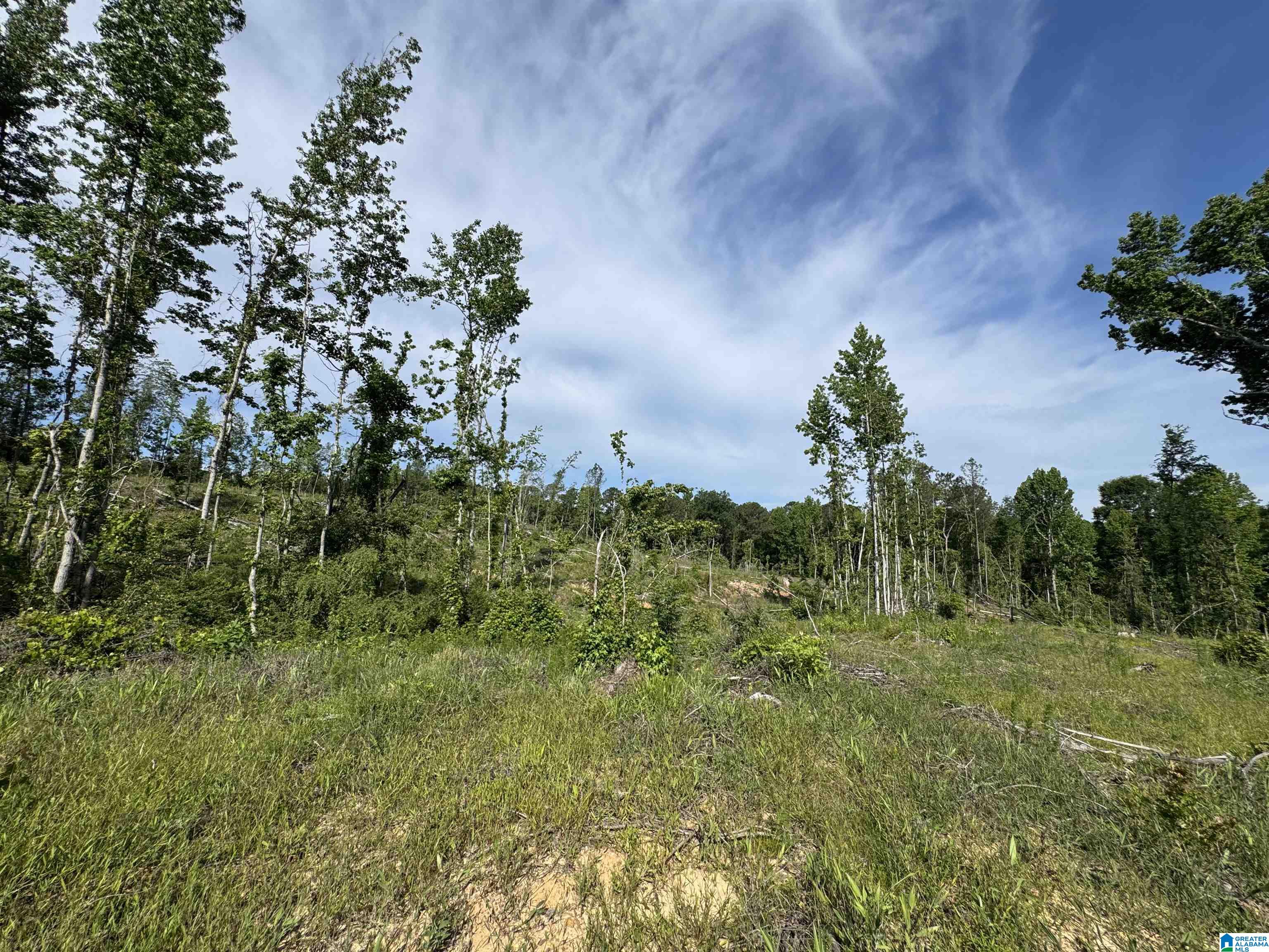 Active Road, Unit 6 Lawley, AL 36793 - Photo 17 of 31 Gallery Image 17