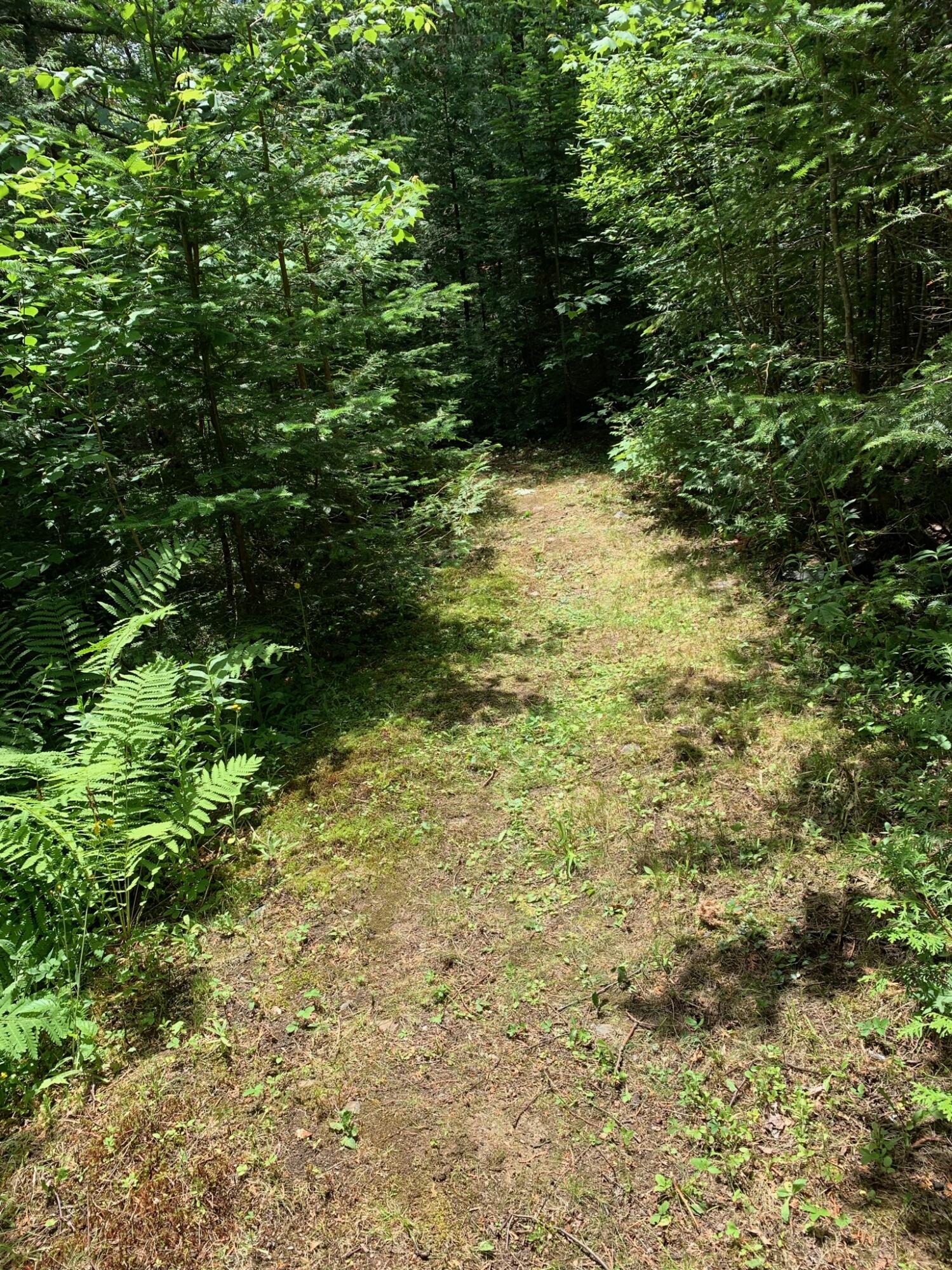 58 South Cottage Road Dallas Plt, ME 04970 - Photo 20 of 72 IMG_0019