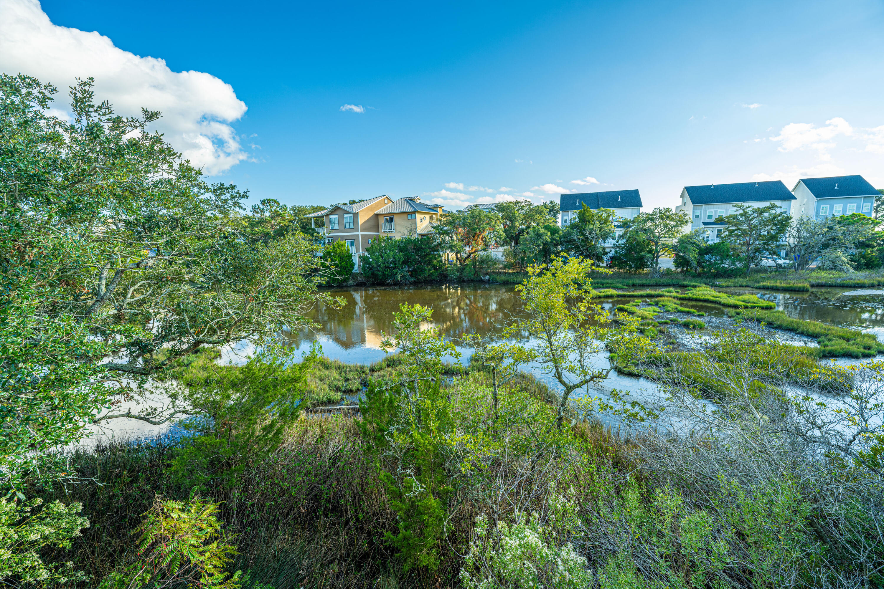 1011 Lighterman Way Charleston, SC 29412 - Photo 38 of 53