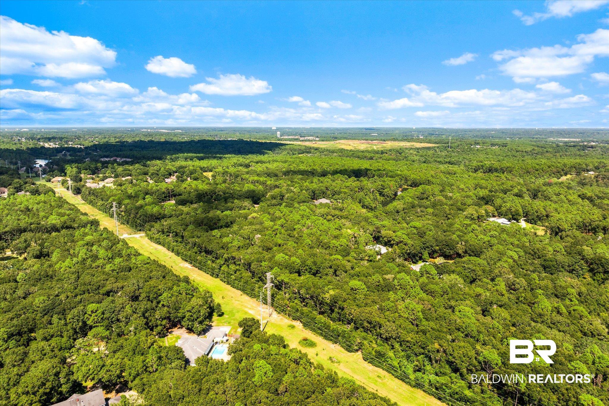 3600 Russells Lane Mobile, AL 36619 - Photo 42 of 43 Birds eye view of property
