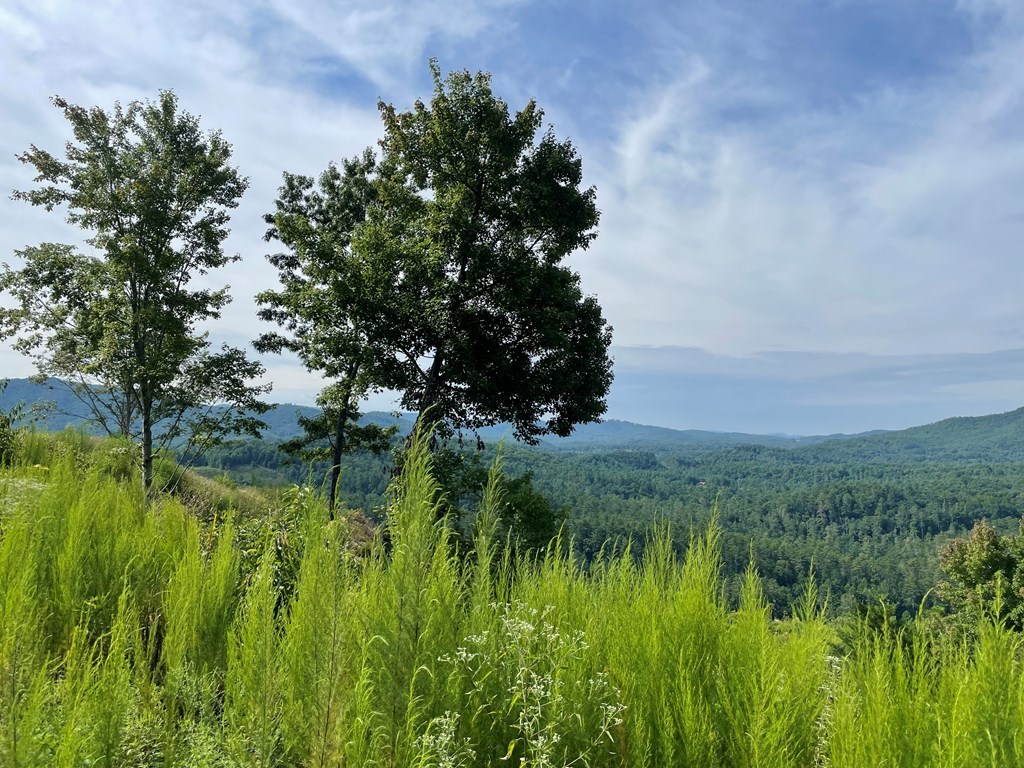 380 Sterling Point Murphy, NC 28906 - Photo 5 of 12 a view of a lake view with a garden