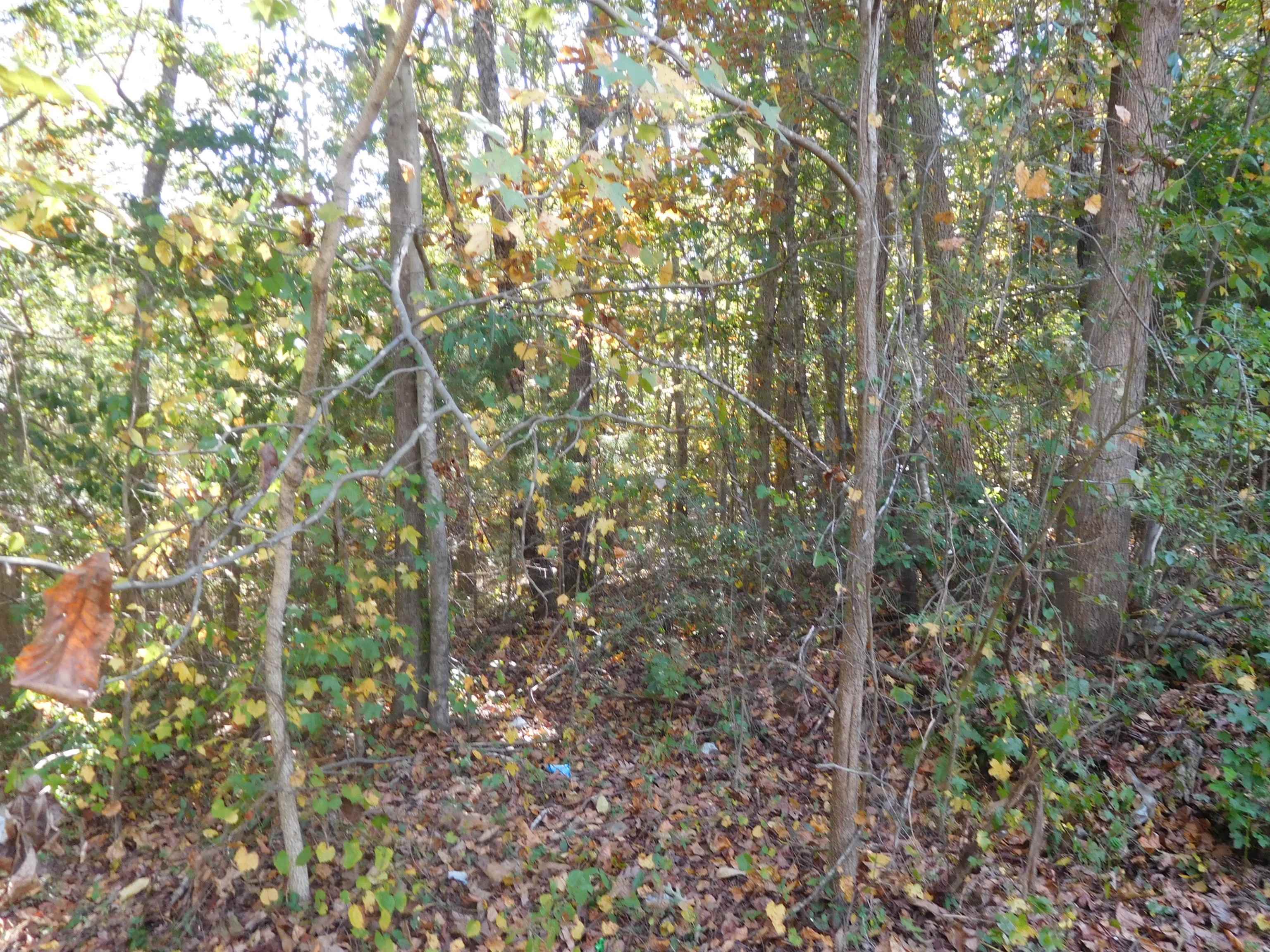 Tbd Byars Farm Road Gaffney, SC 29341 - Photo 2 of 2