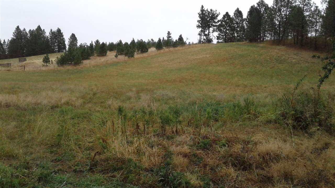 24407 South Rupp Road Cheney, WA 99004 - Photo 2 of 14
