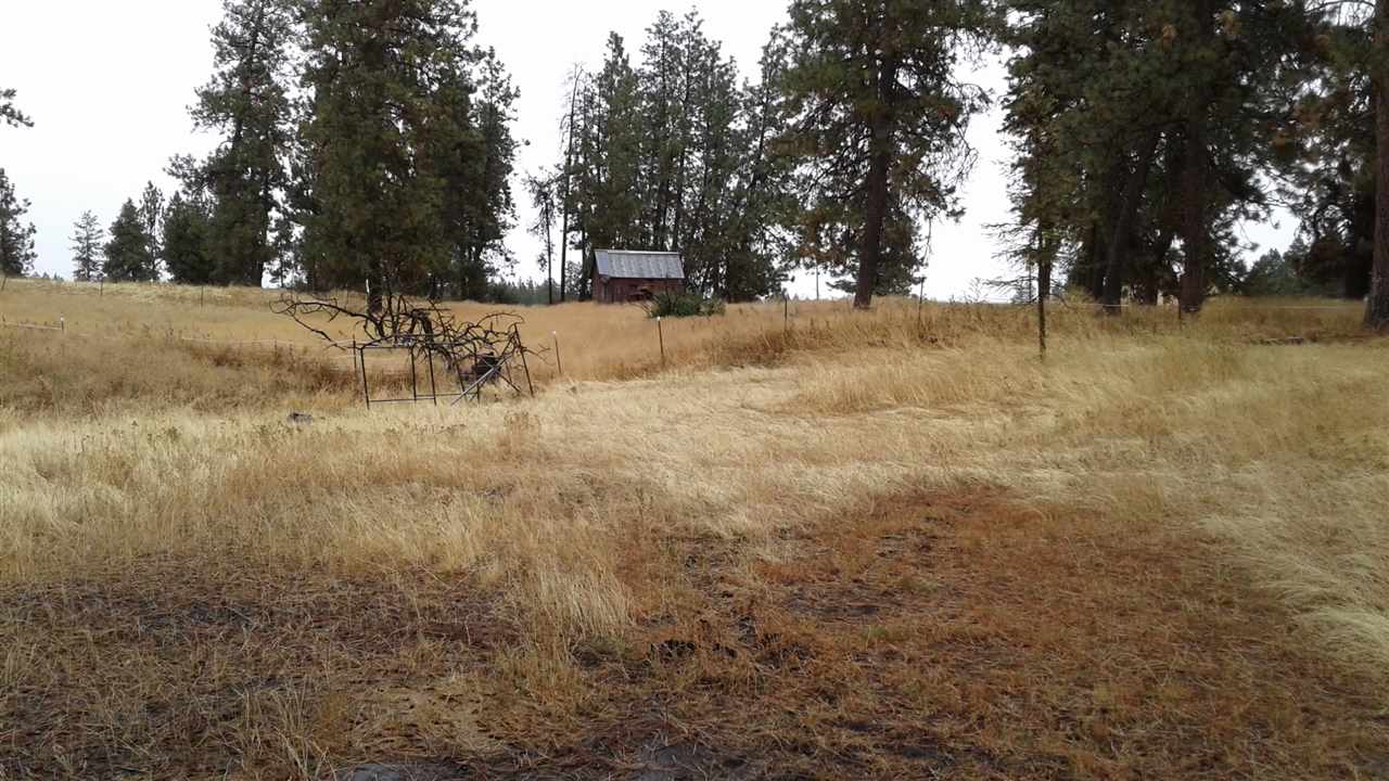 24407 South Rupp Road Cheney, WA 99004 - Photo 12 of 14