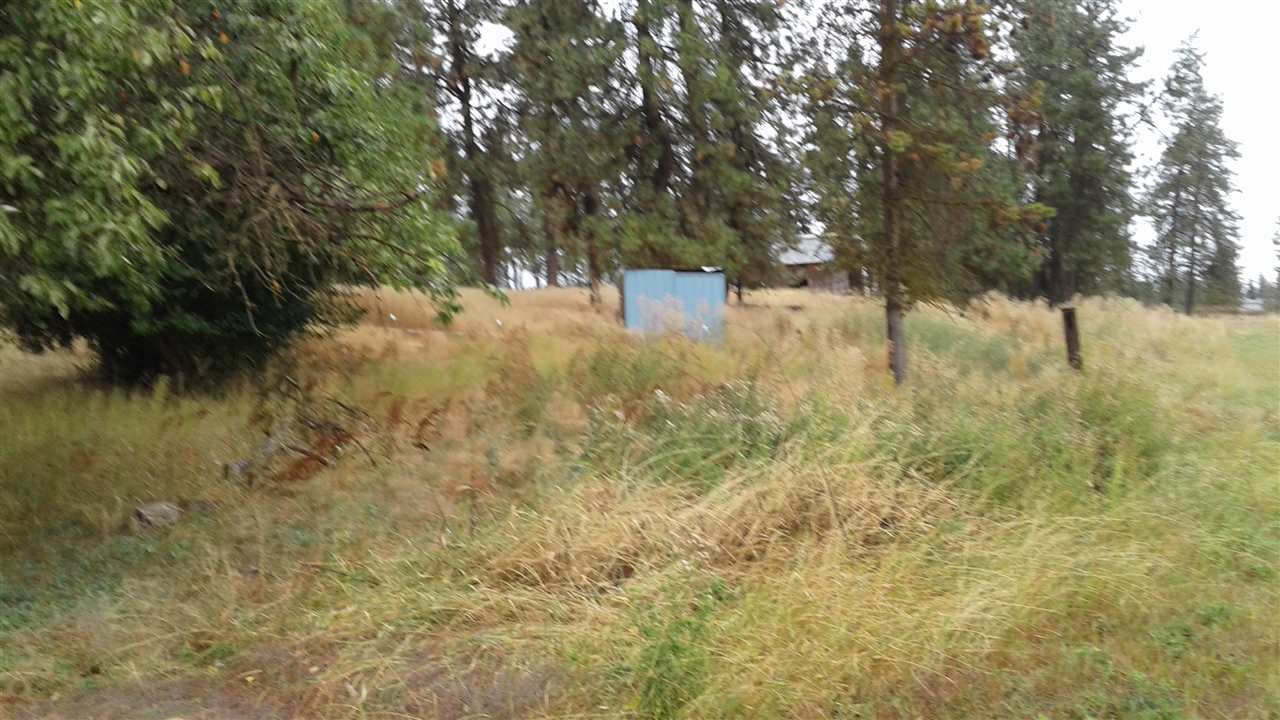 24407 South Rupp Road Cheney, WA 99004 - Photo 13 of 14