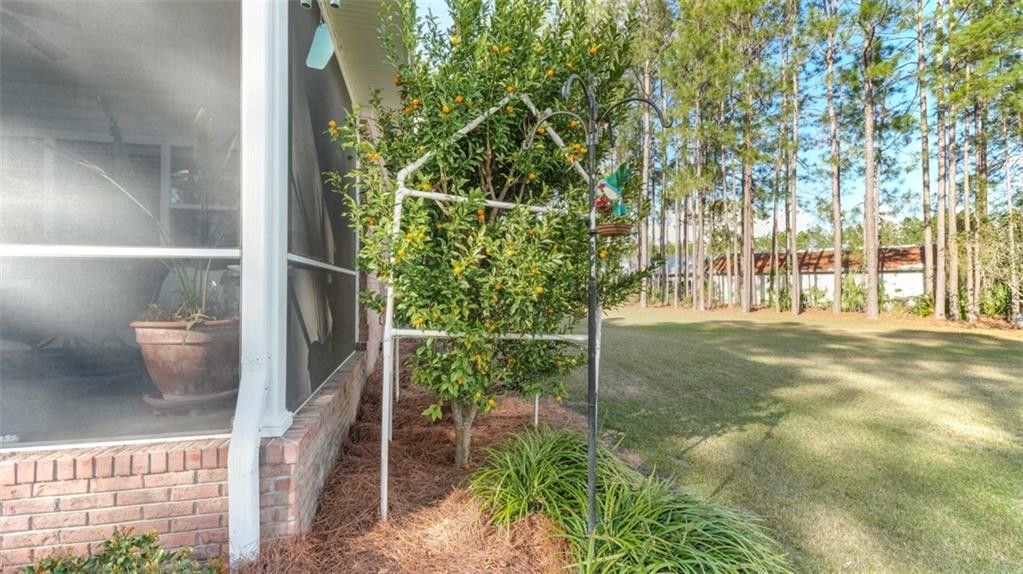 980 Jimmy Ree Lane Bristol, GA 31518 - Photo 73 of 73