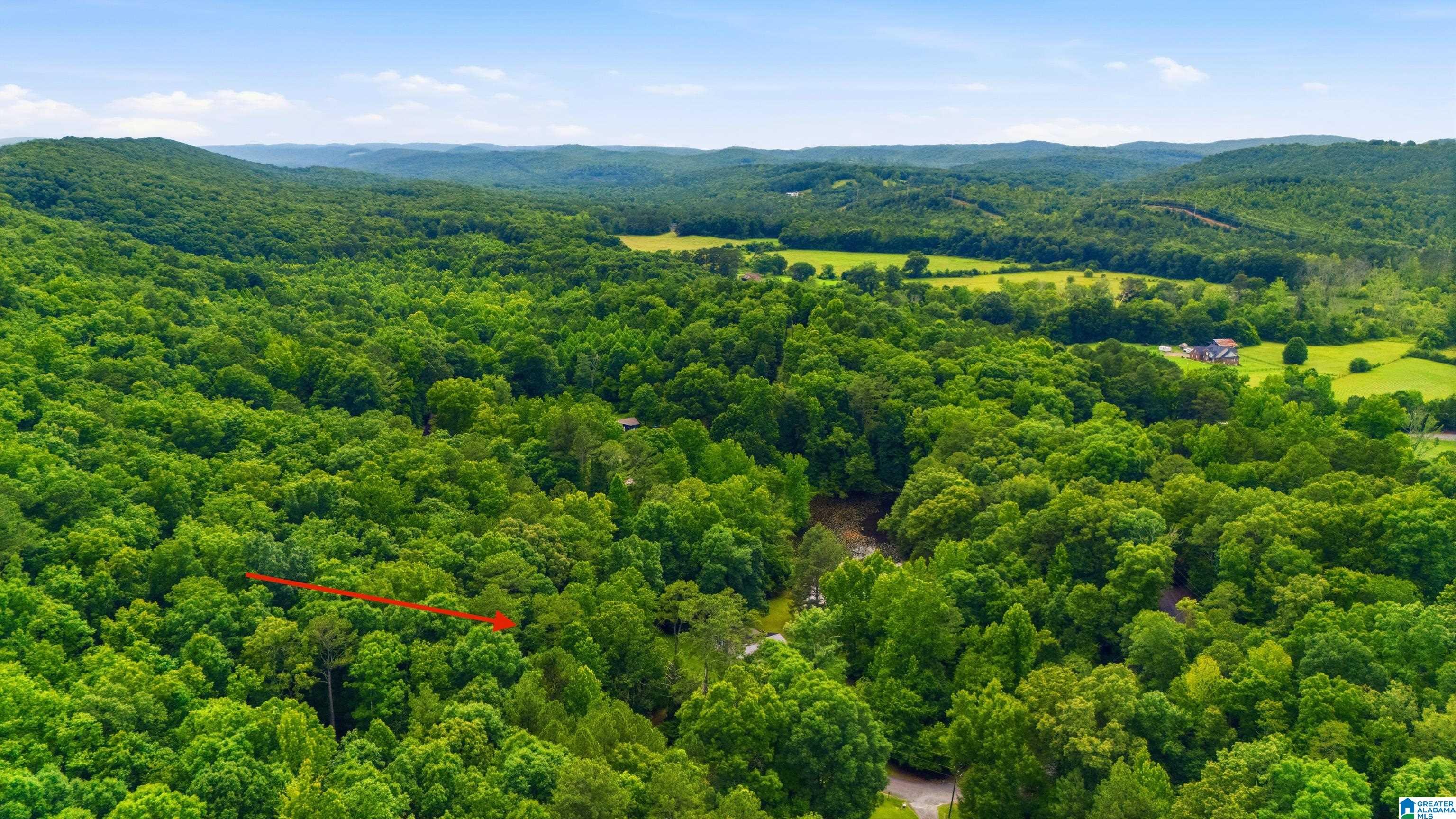 215 Oak Ridge Drive Oneonta, AL 35121 - Photo 36 of 36