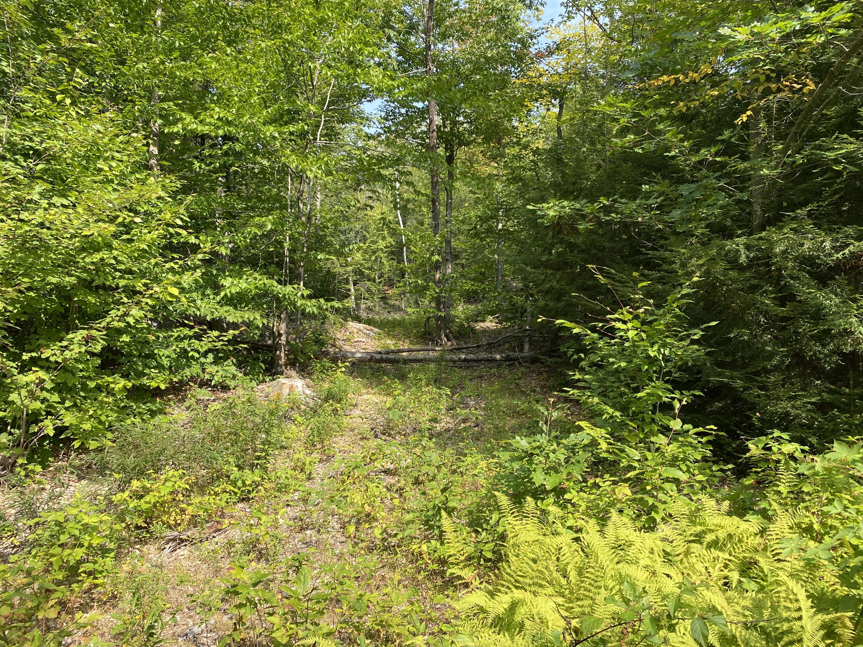 6-082 Lomie Rivers Road Jay, ME 04239 - Photo 12 of 43 Photo Sep 16, 1 36 04 PM