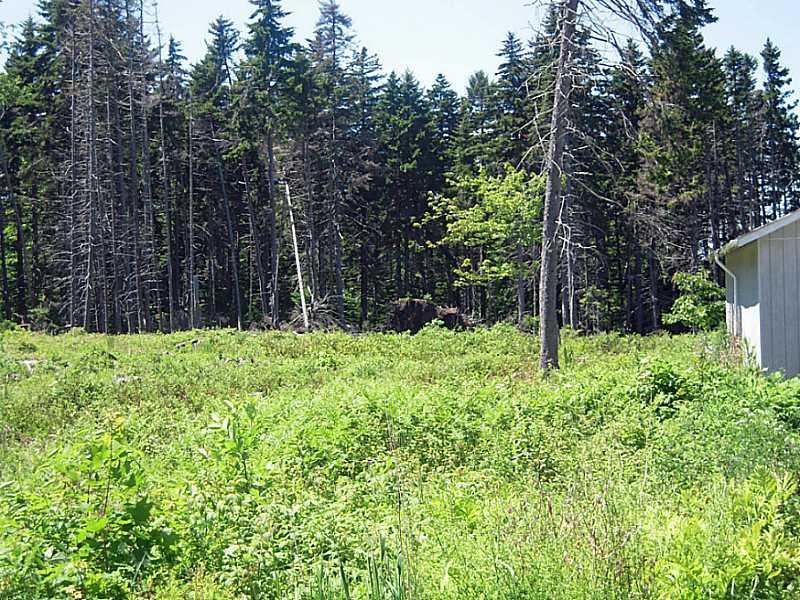 24 River Road Tenants Harbor, ME 04860 - Photo 4 of 14 Land/Lot. A portion of the back yard...